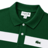 Green and white pique collar Ribbed collar and two-button placket on green piqué polo shirt - Global Hub Pakistan